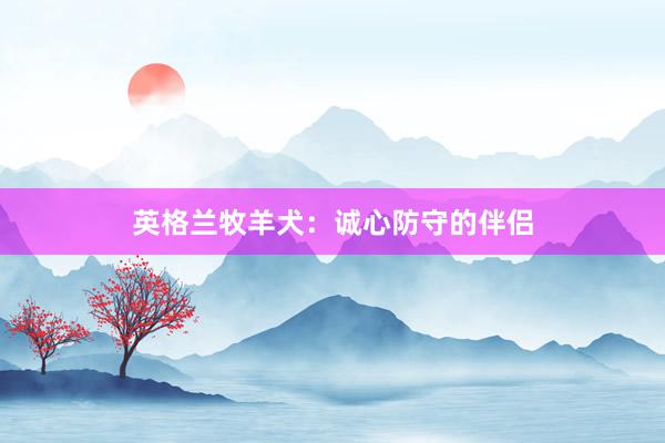 英格兰牧羊犬：诚心防守的伴侣