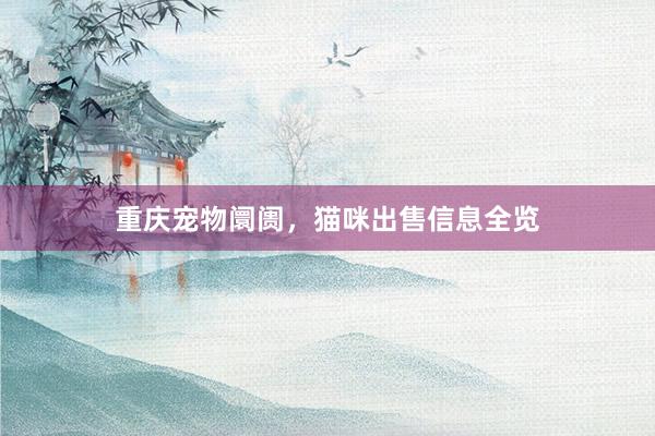 重庆宠物阛阓，猫咪出售信息全览